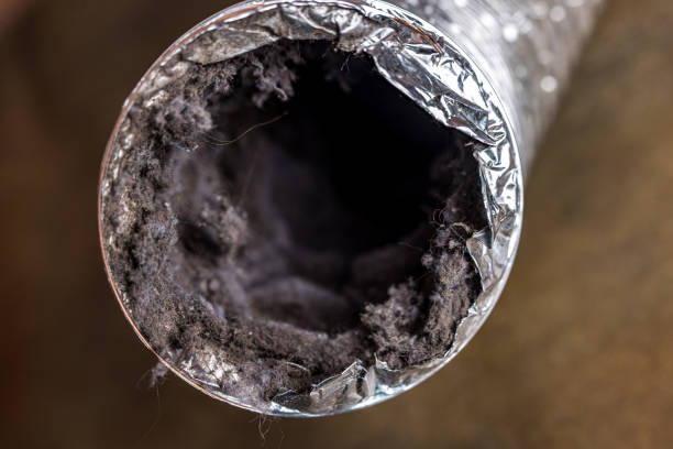 Best Emergency Air Duct Cleaning  in Ashland, NE
